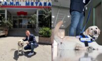 νοσοκομείο