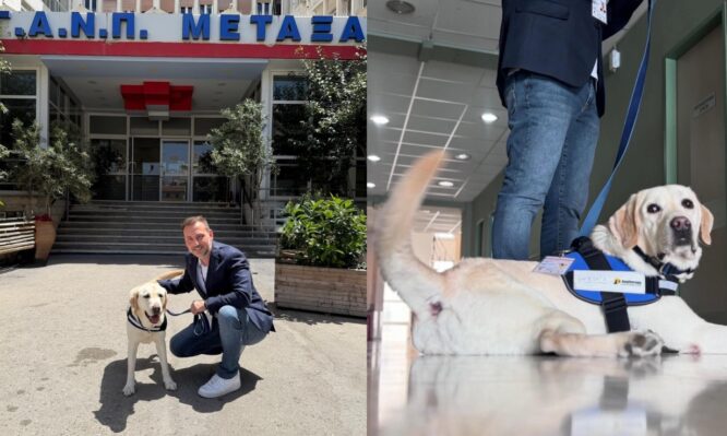 νοσοκομείο