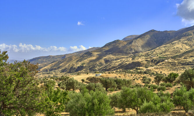 Βενιζέλειο